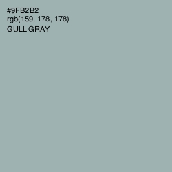 #9FB2B2 - Gull Gray Color Image